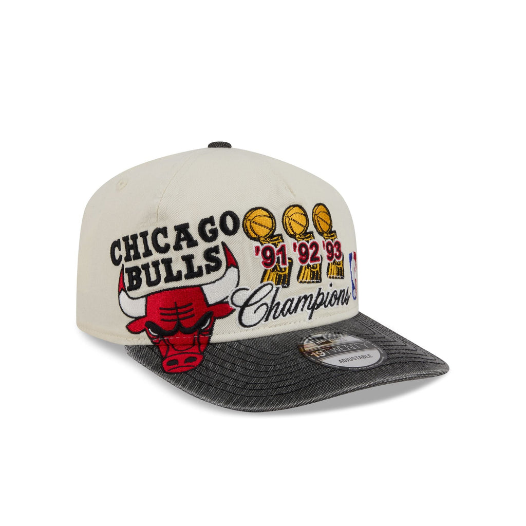 Chicago Bulls Hardwood Classics Past Glory 19TWENTY Adjustable Hat