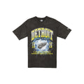 Detroit Red Wings Lifestyle Graphics Storm Black T-Shirt