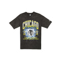 Chicago Blackhawks Lifestyle Graphics Storm Black T-Shirt