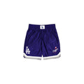 Los Angeles Dodgers Sport Classics Tag Shorts