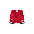 Miami Heat Sport Classics Tag Shorts