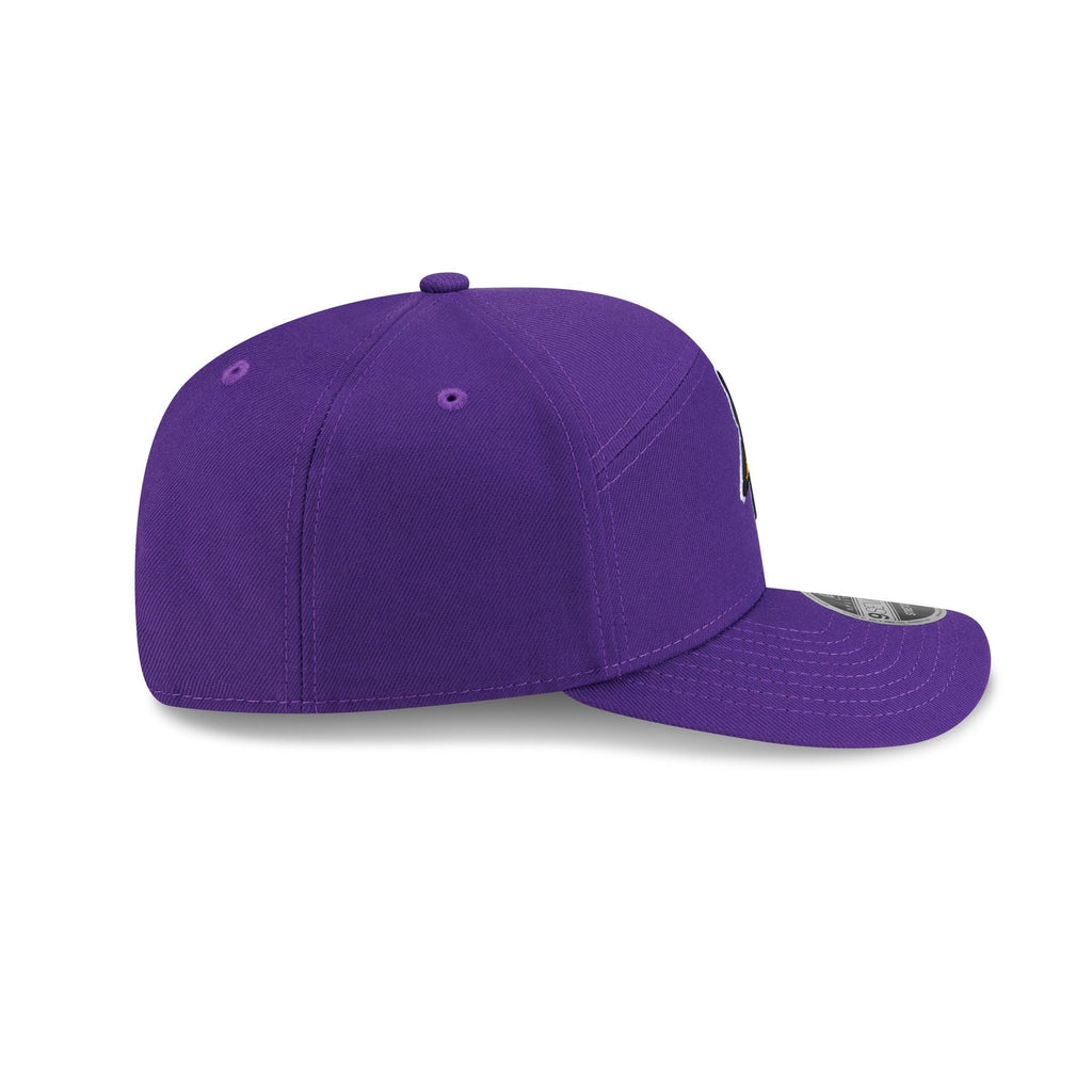 Minnesota Vikings Poly Split Panel 9SEVENTY Stretch-Snap Hat