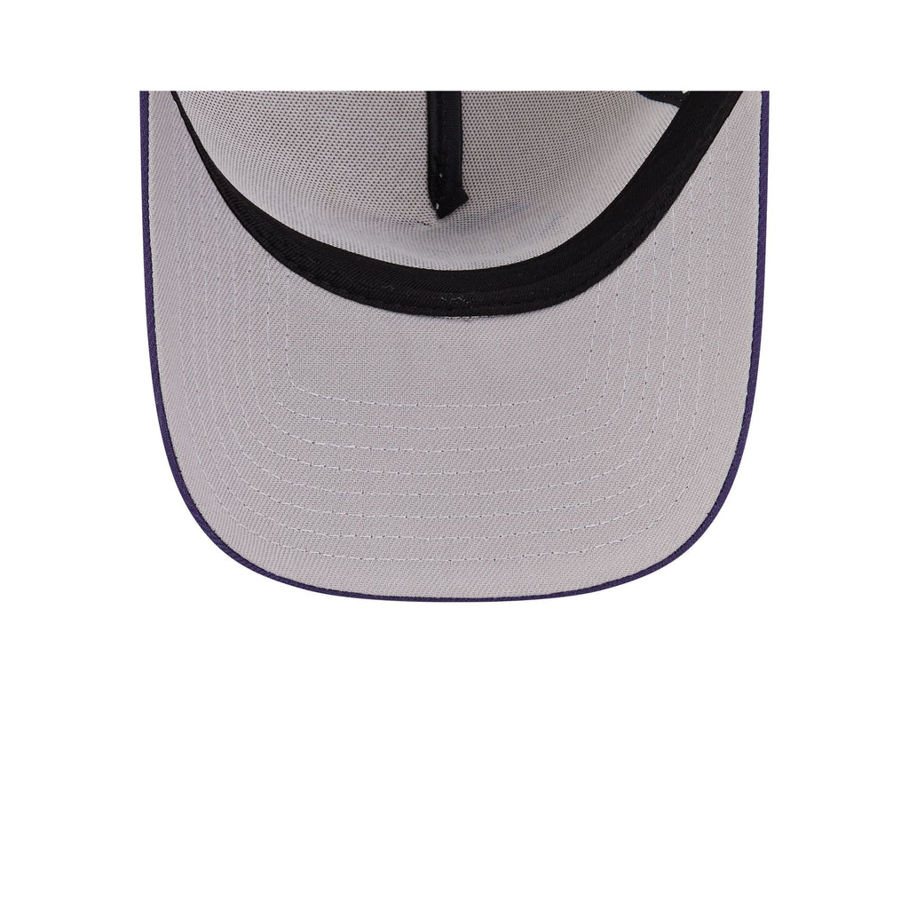 Toronto Raptors Hardwood Classics Retro Stone 9FORTY A-Frame Snapback Hat